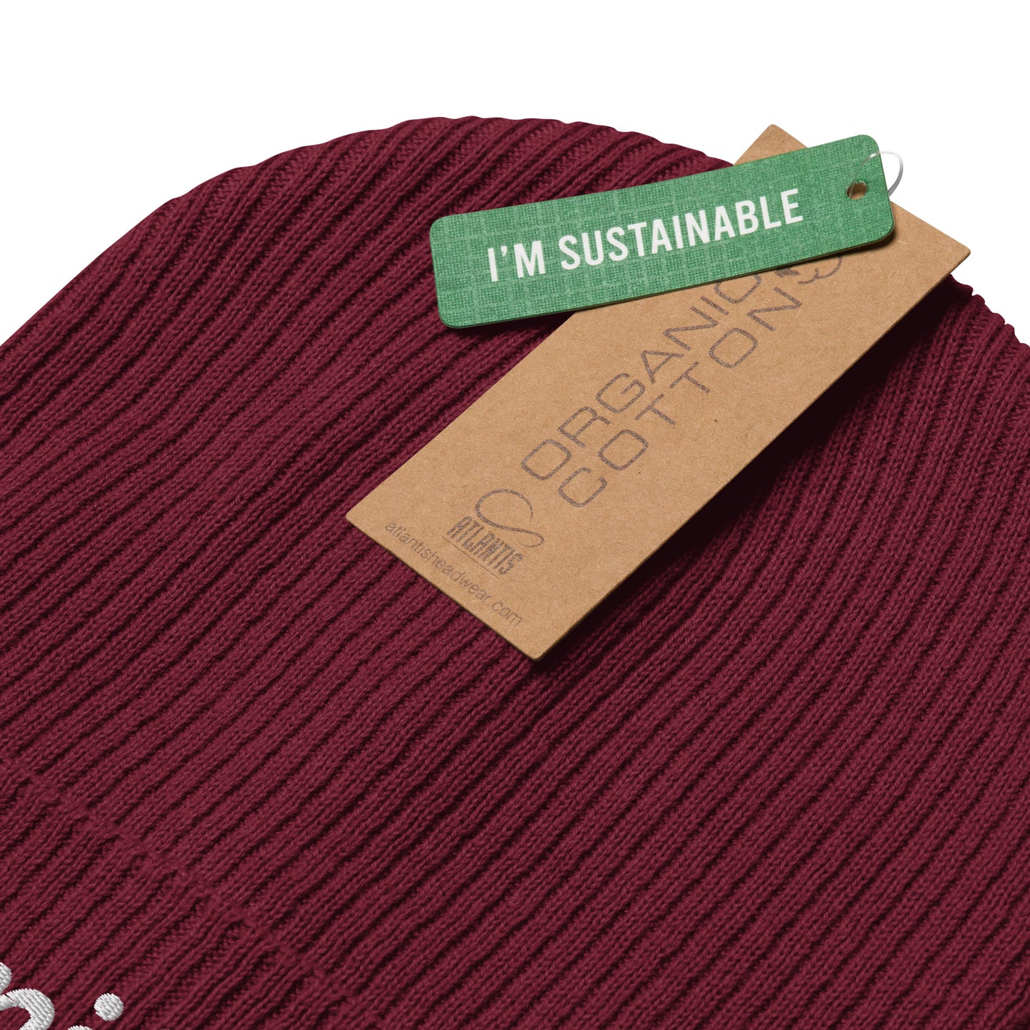 Organic Manifest ribbed beanie