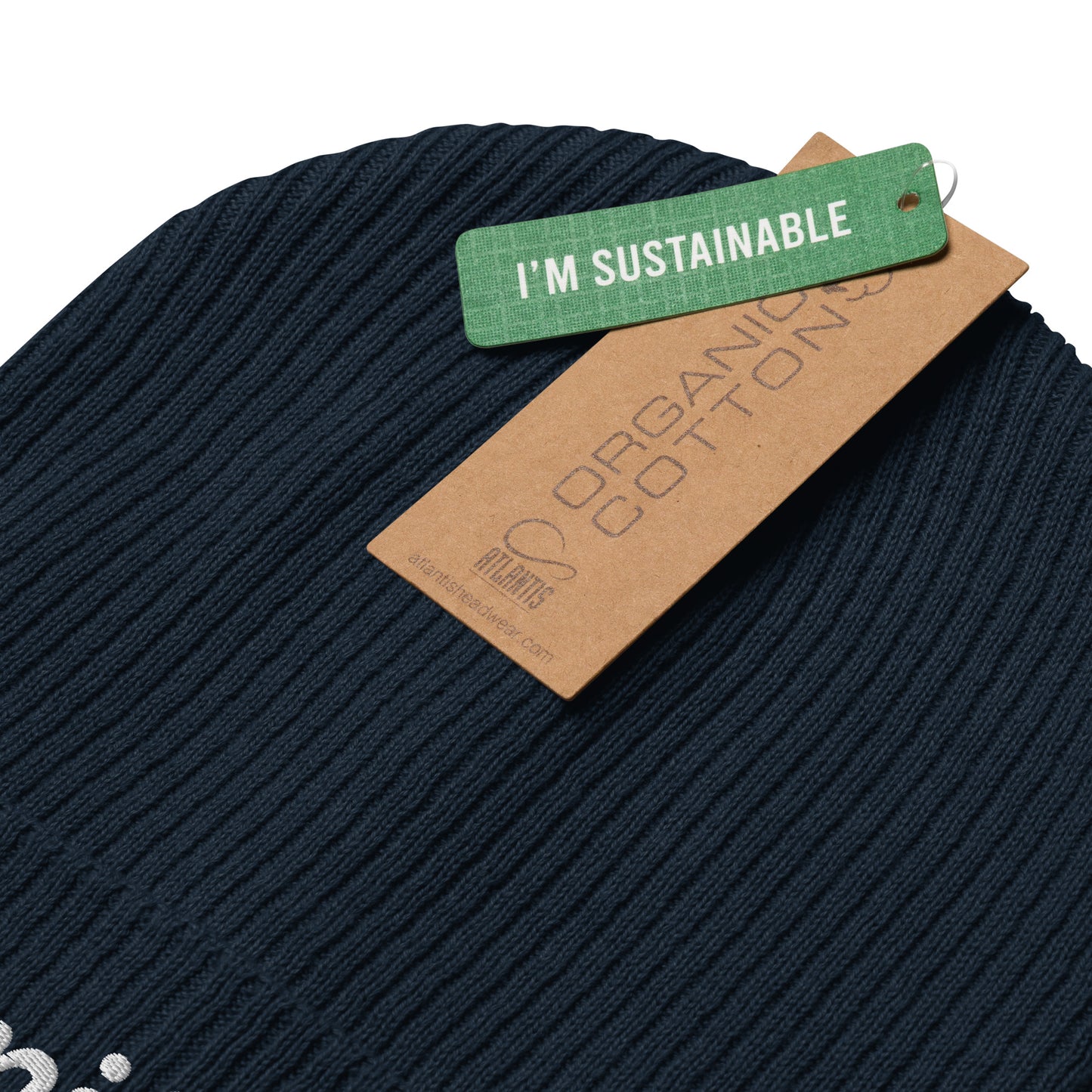 Organic Manifest ribbed beanie